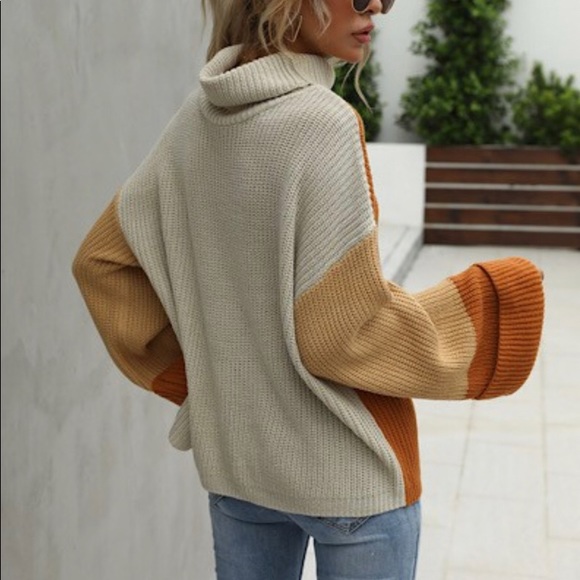 Color Block Turtleneck - Picture 4 of 5